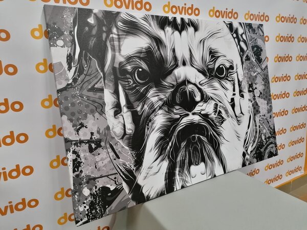 Obraz buldog w wersji czarno-białej
