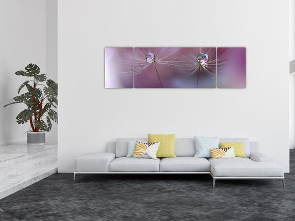 Obraz kropelek na puchu (170x50 cm)