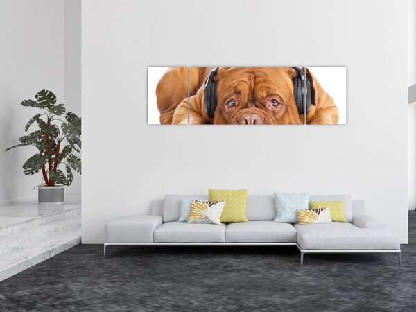 Obraz psa ze słuchawkami (170x50 cm)