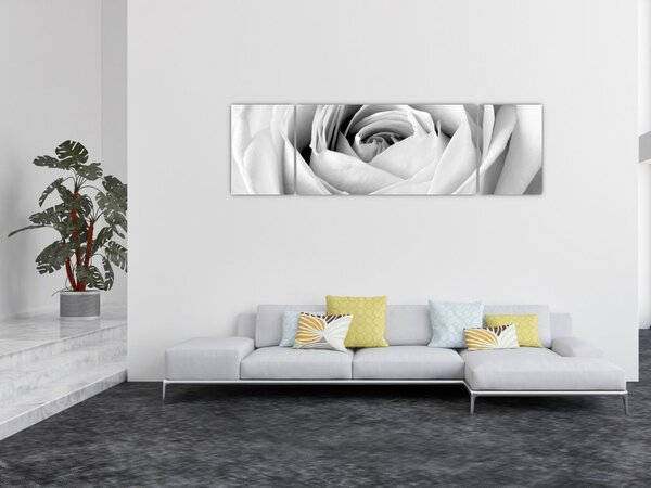 Obraz - Detal kwiatu róży (170x50 cm)