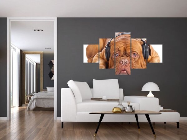 Obraz psa ze słuchawkami (125x70 cm)