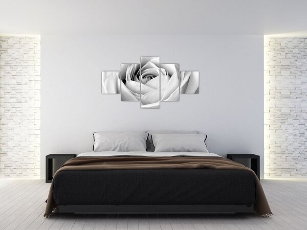 Obraz - Detal kwiatu róży (125x70 cm)