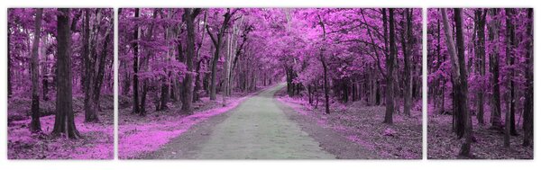 Obraz - Ścieżka przez park (170x50 cm)