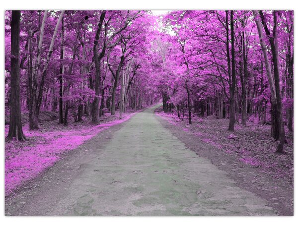 Obraz - Ścieżka przez park (70x50 cm)