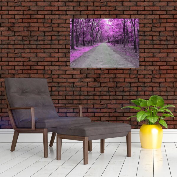 Obraz - Ścieżka przez park (70x50 cm)