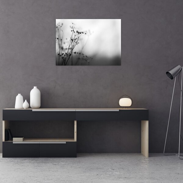 Obraz - Detal kwiatów polnych (70x50 cm)