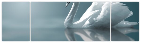 Obraz - Biały łabędź (170x50 cm)