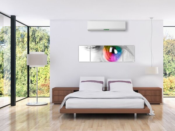 Obraz - Irys (170x50 cm)