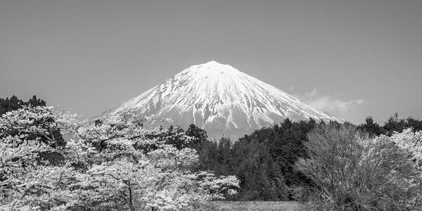 Obraz góra Fuji w wersji czarno-białej