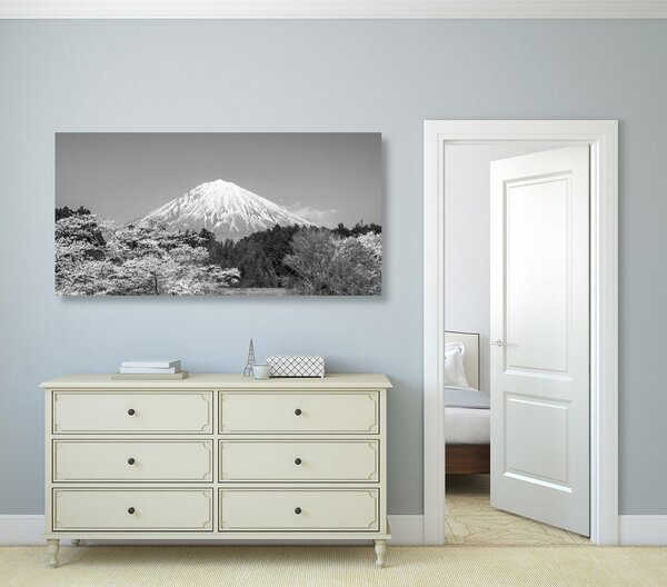 Obraz góra Fuji w wersji czarno-białej