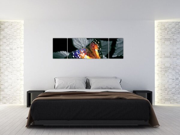 Obraz motyla (170x50 cm)