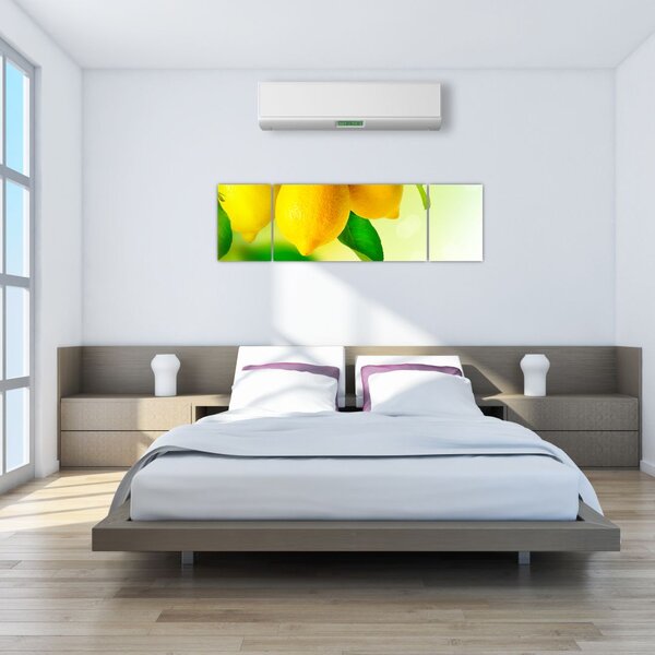 Obraz cytryn (170x50 cm)