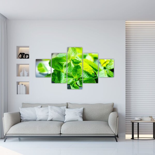 Obraz mięty (125x70 cm)