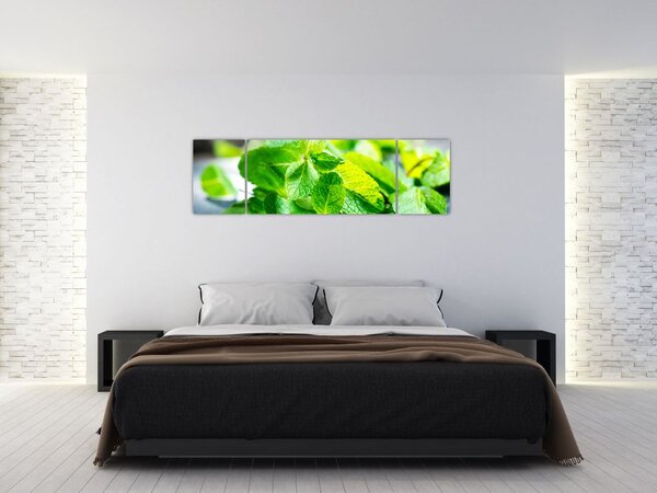 Obraz mięty (170x50 cm)