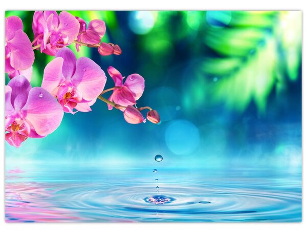 Obraz - Orchidea (70x50 cm)