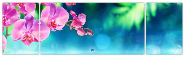 Obraz - Orchidea (170x50 cm)