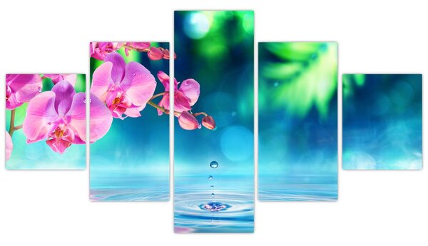 Obraz - Orchidea (125x70 cm)