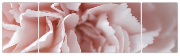 Obraz - Szczegół kwiatu (170x50 cm)