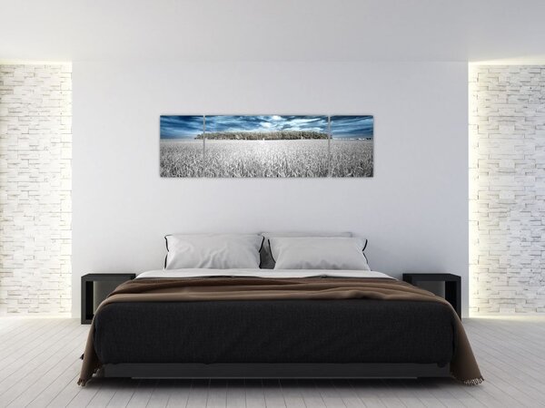Obraz pola (170x50 cm)