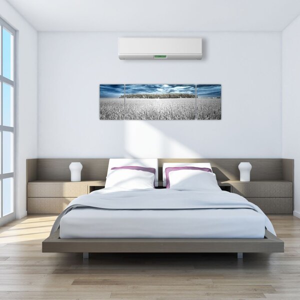 Obraz pola (170x50 cm)