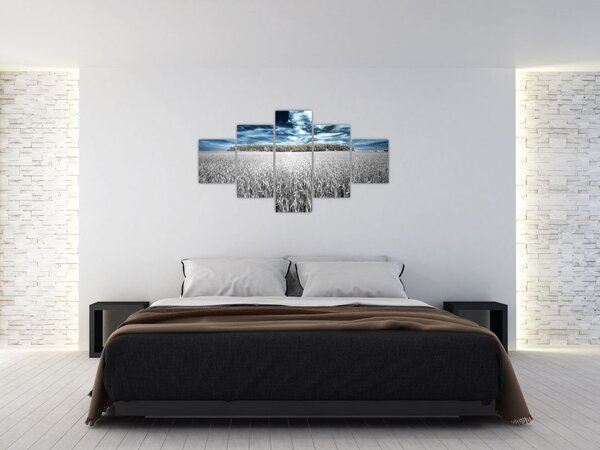 Obraz pola (125x70 cm)