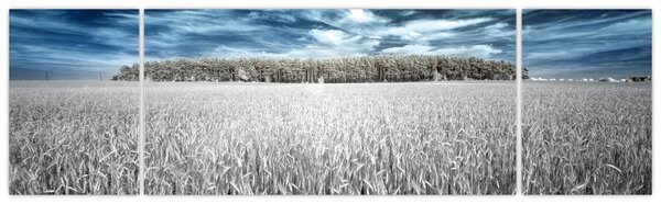 Obraz pola (170x50 cm)