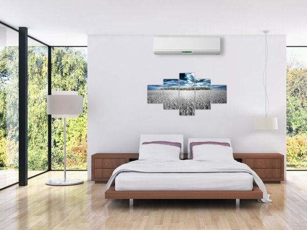 Obraz pola (125x70 cm)