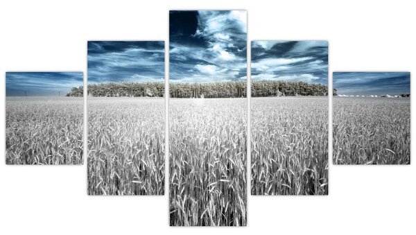 Obraz pola (125x70 cm)