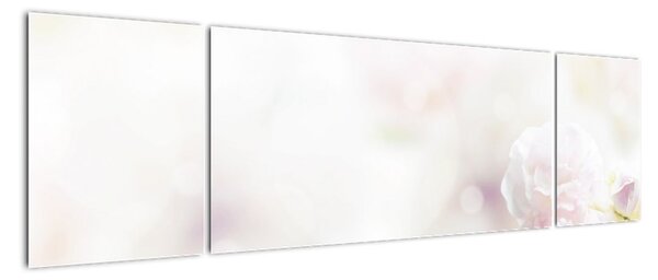 Obraz delikatnych kwiatów (170x50 cm)
