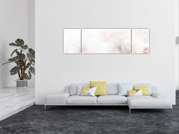 Obraz delikatnych kwiatów (170x50 cm)