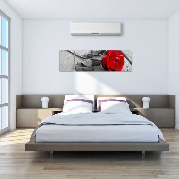 Obraz czerwonej róży (170x50 cm)