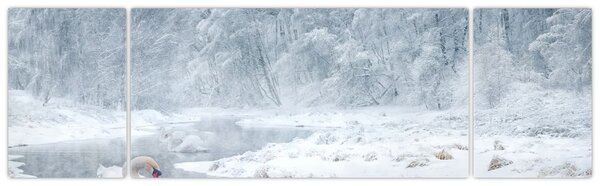 Obraz łabędzi (170x50 cm)