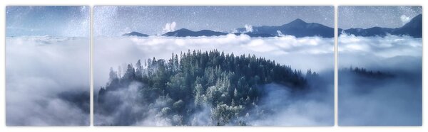Obraz lasu we mgle (170x50 cm)