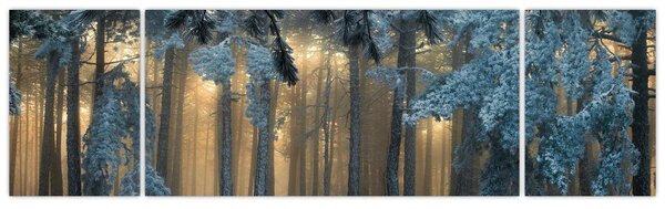 Obraz zaśnieżonego lasu (170x50 cm)