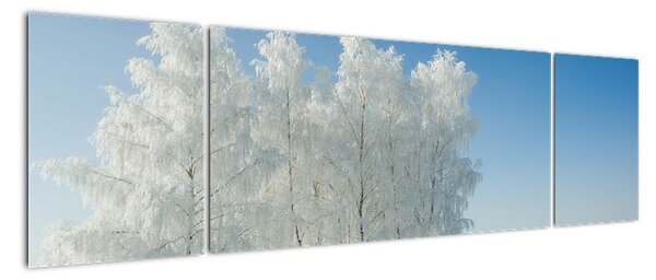 Obraz zaśnieżonego krajobrazu (170x50 cm)