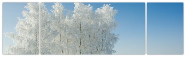 Obraz zaśnieżonego krajobrazu (170x50 cm)