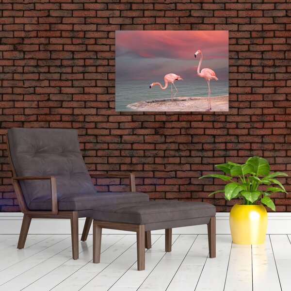 Obraz flamingów (70x50 cm)