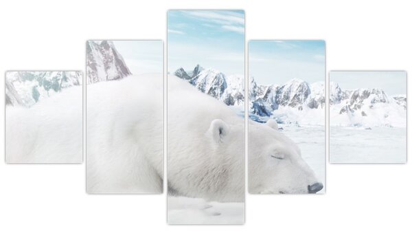 Obraz - Niedźwiedź polarny (125x70 cm)