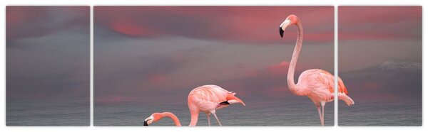 Obraz flamingów (170x50 cm)