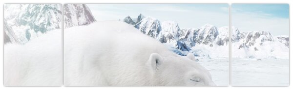 Obraz - Niedźwiedź polarny (170x50 cm)