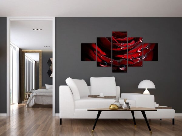 Obraz - Detal róży (125x70 cm)