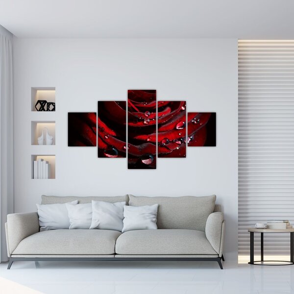 Obraz - Detal róży (125x70 cm)