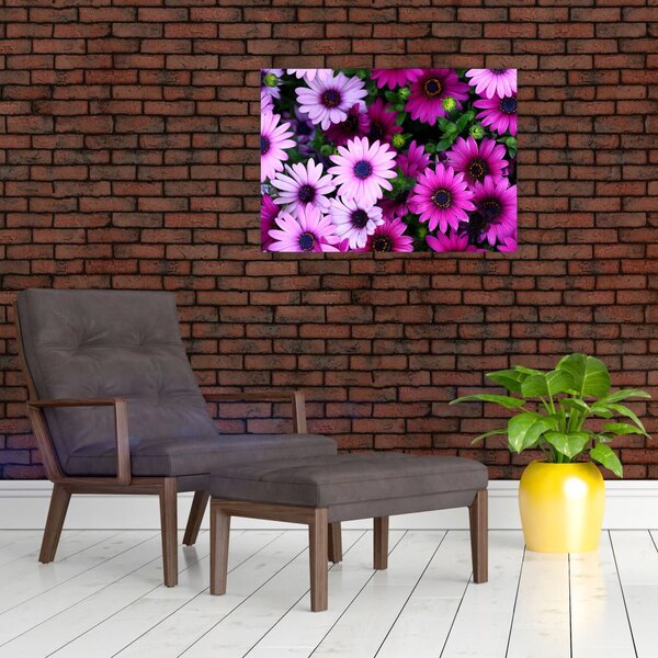 Obraz - Kwiaty (70x50 cm)