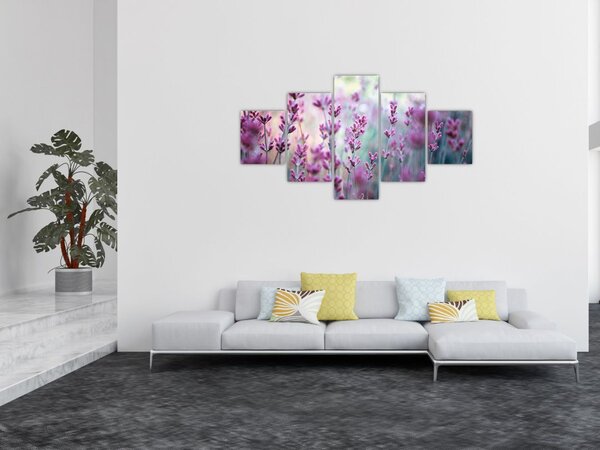 Obraz - Lawenda (125x70 cm)
