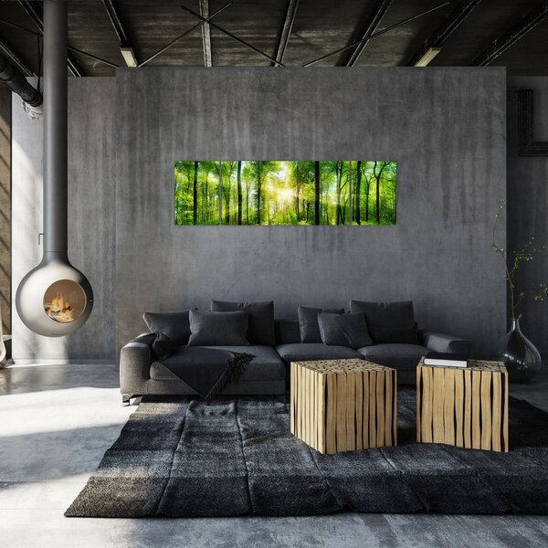 Obraz - Świt w lesie (170x50 cm)