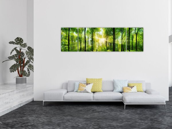 Obraz - Świt w lesie (170x50 cm)