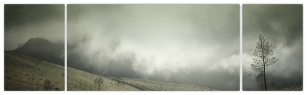 Obraz krajobrazu przed burzą (170x50 cm)