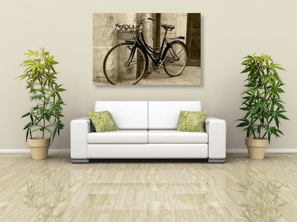 Obraz rustykalny rower w wersji sepia