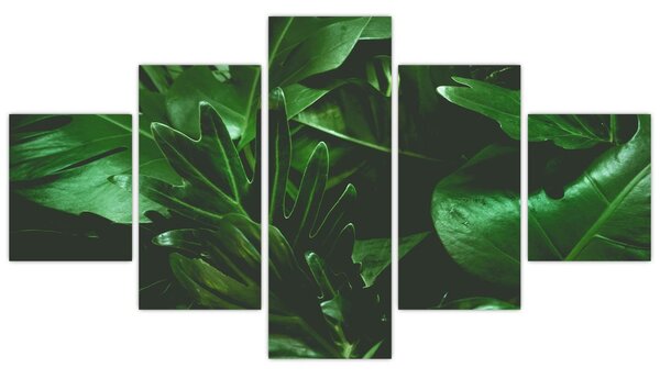Obraz - Liście palmowe (125x70 cm)
