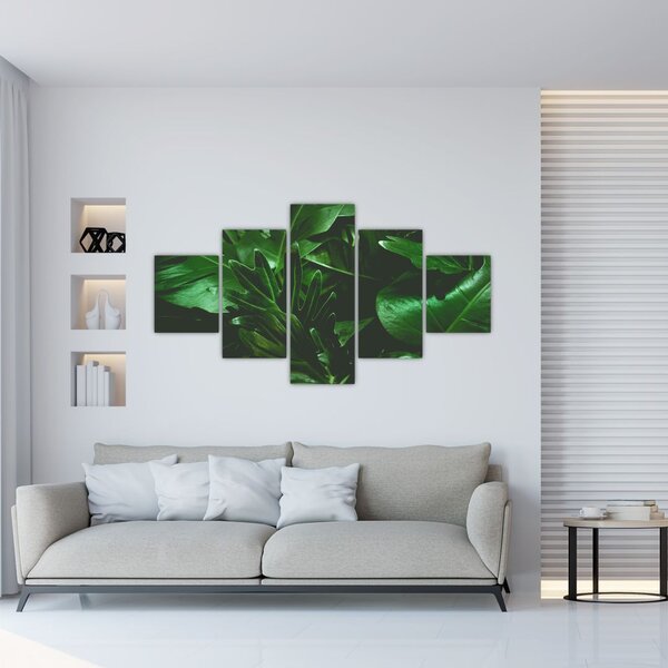 Obraz - Liście palmowe (125x70 cm)
